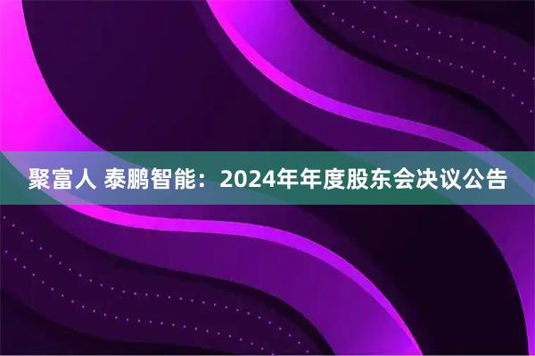 聚富人 泰鹏智能：2024年年度股东会决议公告