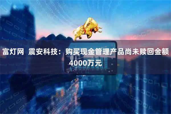 富灯网  震安科技：购买现金管理产品尚未赎回金额4000万元