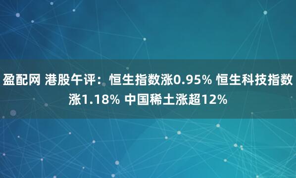 盈配网 港股午评：恒生指数涨0.95% 恒生科技指数涨1.18% 中国稀土涨超12%