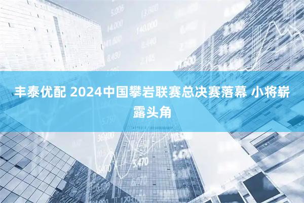 丰泰优配 2024中国攀岩联赛总决赛落幕 小将崭露头角