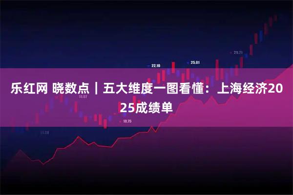 乐红网 晓数点｜五大维度一图看懂：上海经济2025成绩单