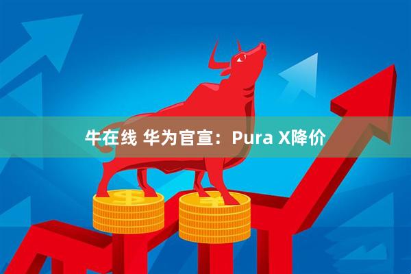 牛在线 华为官宣：Pura X降价