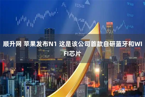 顺升网 苹果发布N1 这是该公司首款自研蓝牙和WIFI芯片